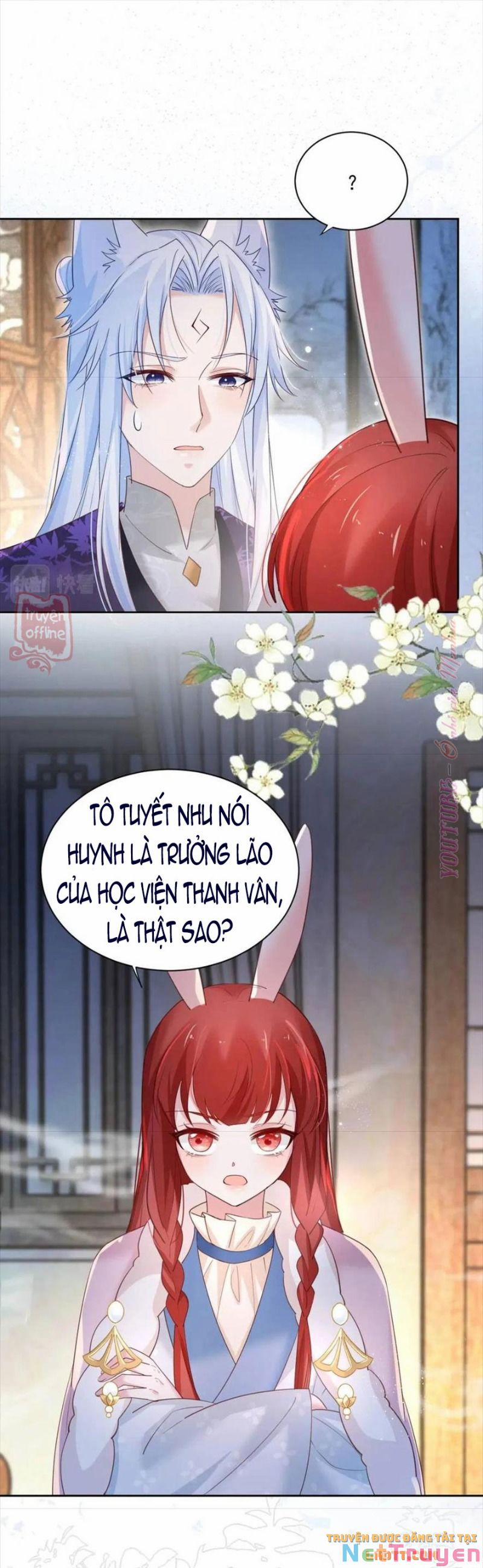 Nuôi Thỏ? Nam Chính Hắc Hóa Rồi! 63 trang 30