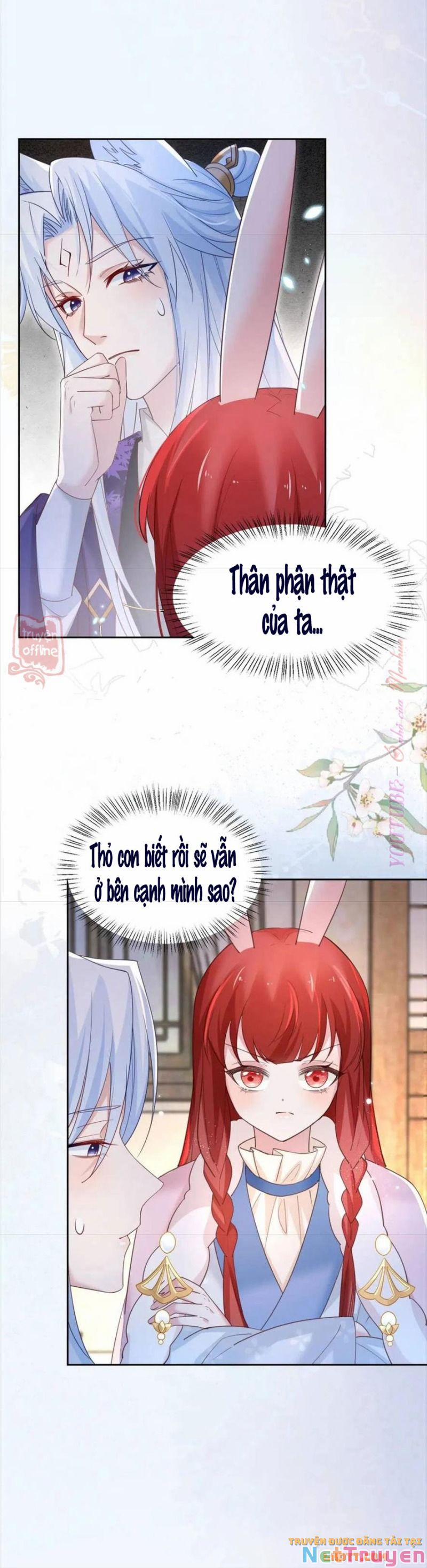 Nuôi Thỏ? Nam Chính Hắc Hóa Rồi! 63 trang 32