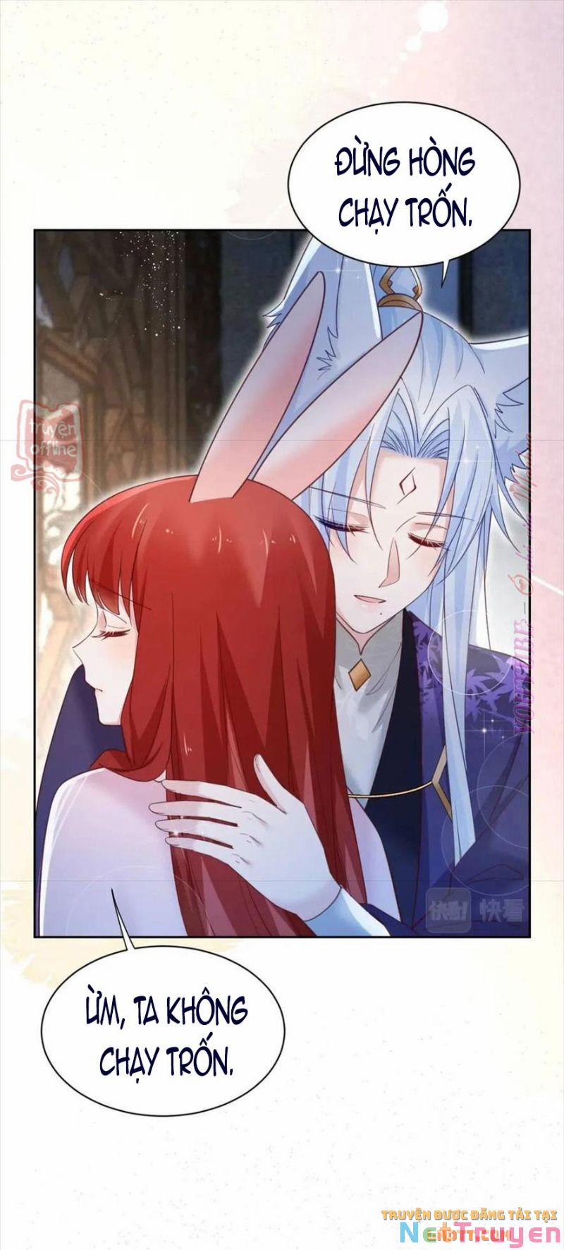 Nuôi Thỏ? Nam Chính Hắc Hóa Rồi! 63 trang 42