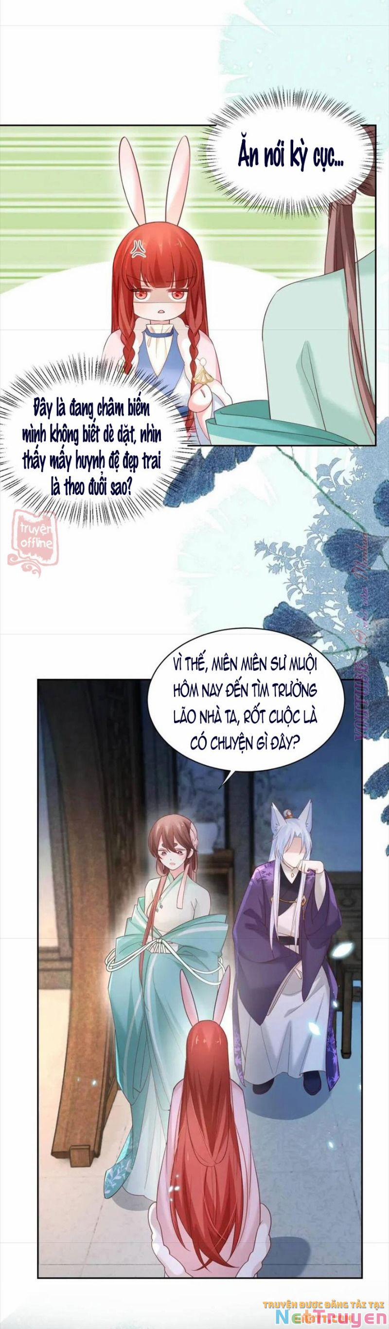 Nuôi Thỏ? Nam Chính Hắc Hóa Rồi! 63 trang 8