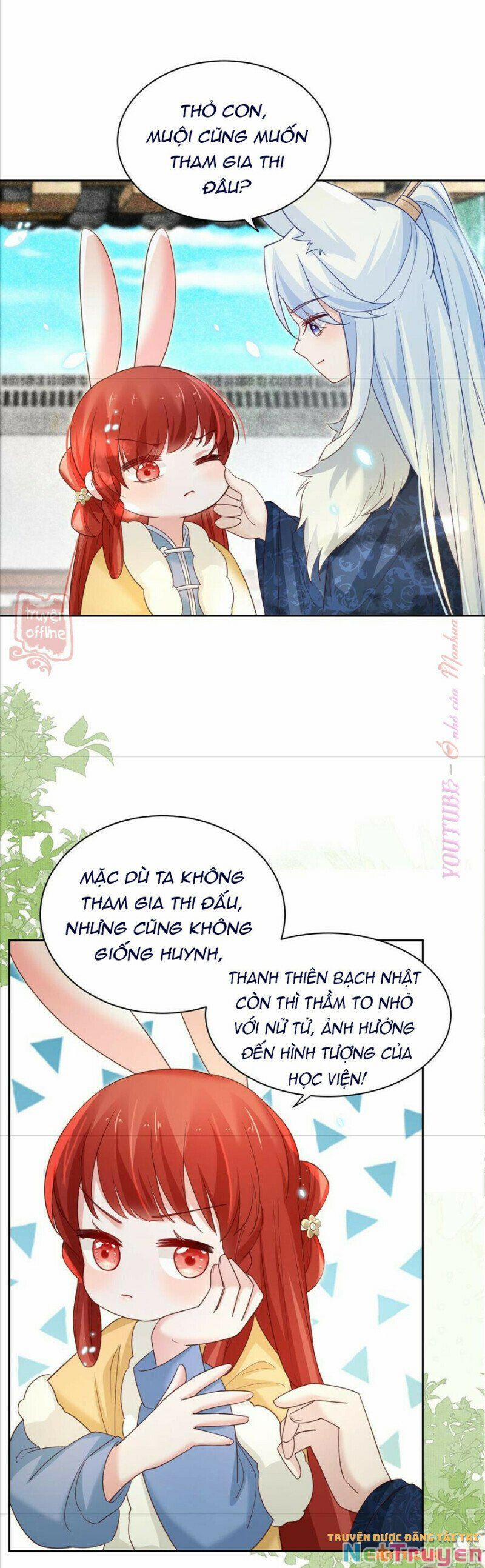 Nuôi Thỏ? Nam Chính Hắc Hóa Rồi! 64 trang 11