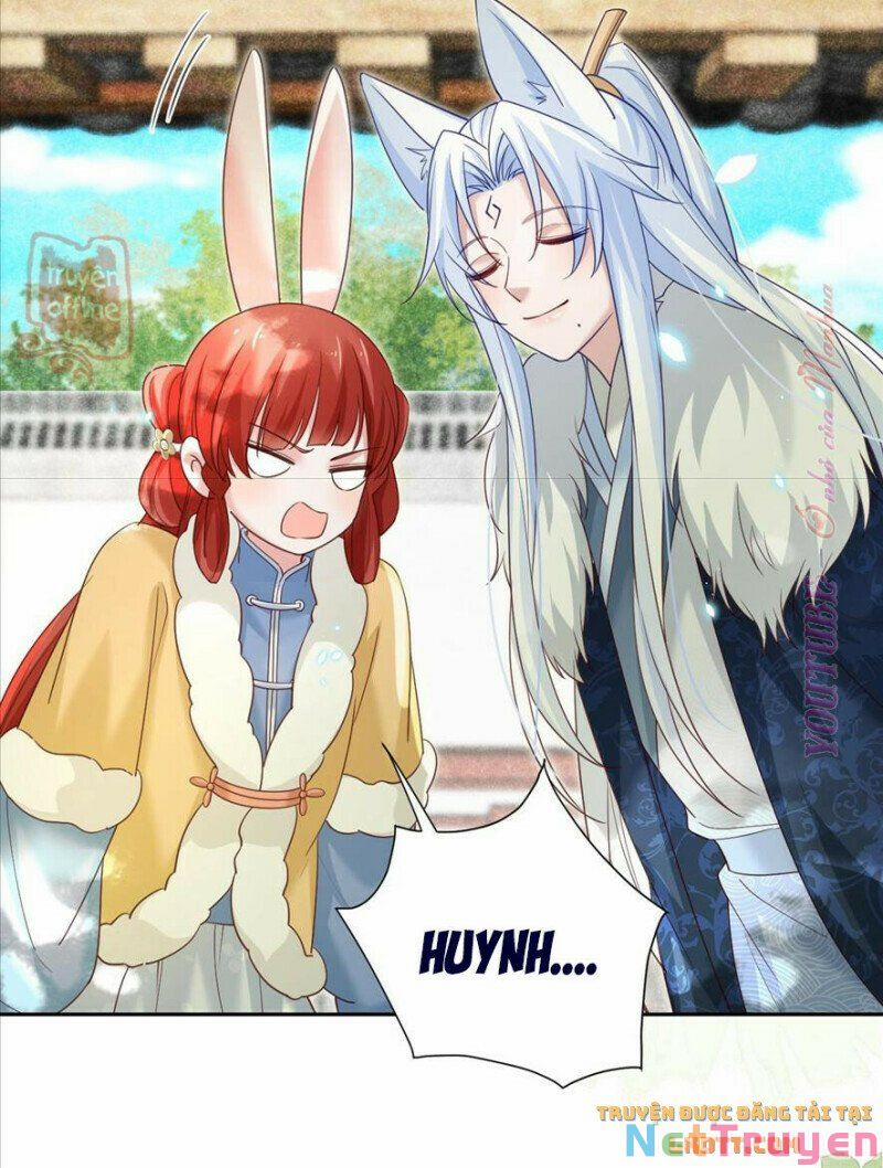 Nuôi Thỏ? Nam Chính Hắc Hóa Rồi! 64 trang 13