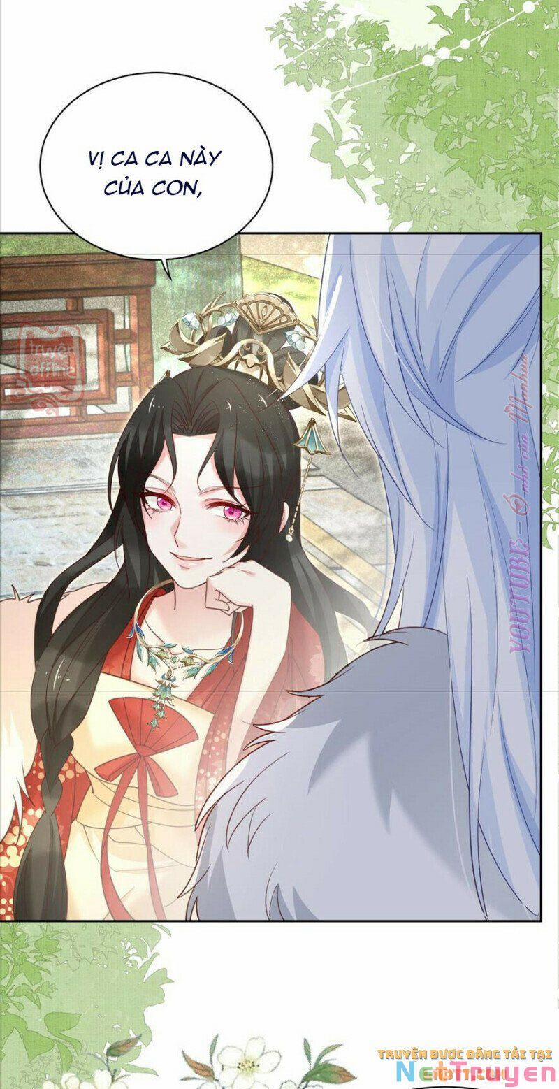 Nuôi Thỏ? Nam Chính Hắc Hóa Rồi! 64 trang 16