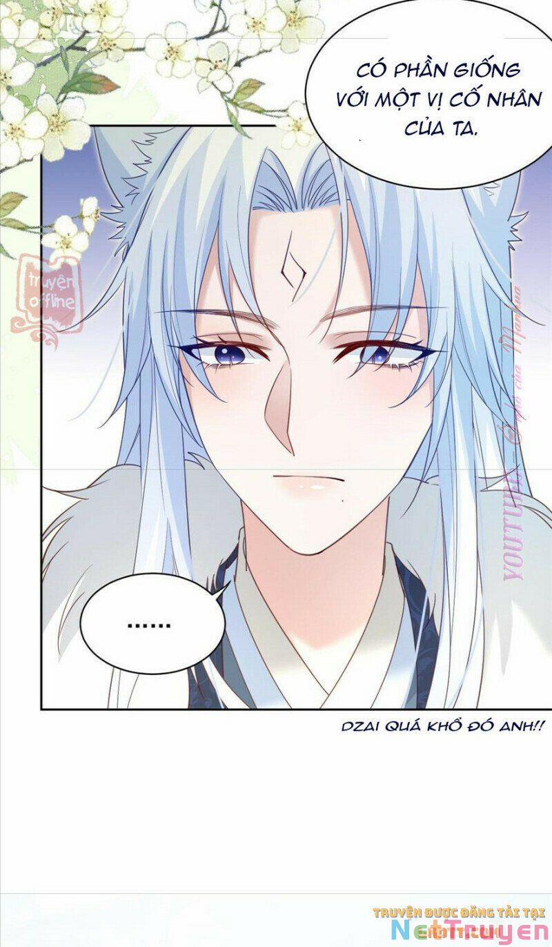 Nuôi Thỏ? Nam Chính Hắc Hóa Rồi! 64 trang 17