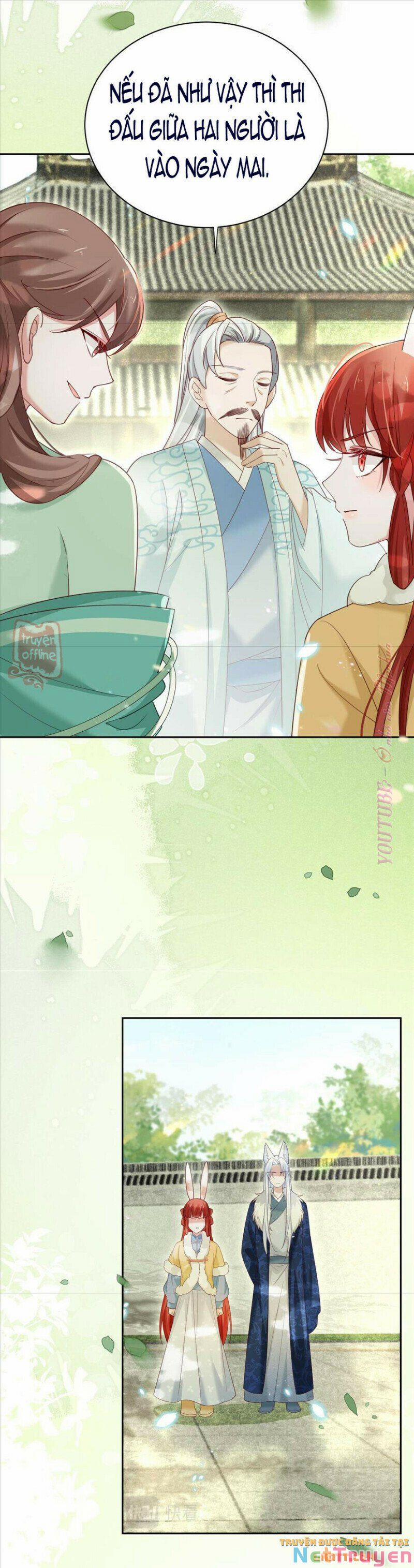 Nuôi Thỏ? Nam Chính Hắc Hóa Rồi! 65 trang 13