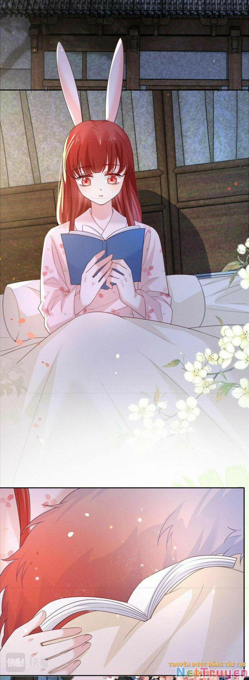 Nuôi Thỏ? Nam Chính Hắc Hóa Rồi! 66 trang 10