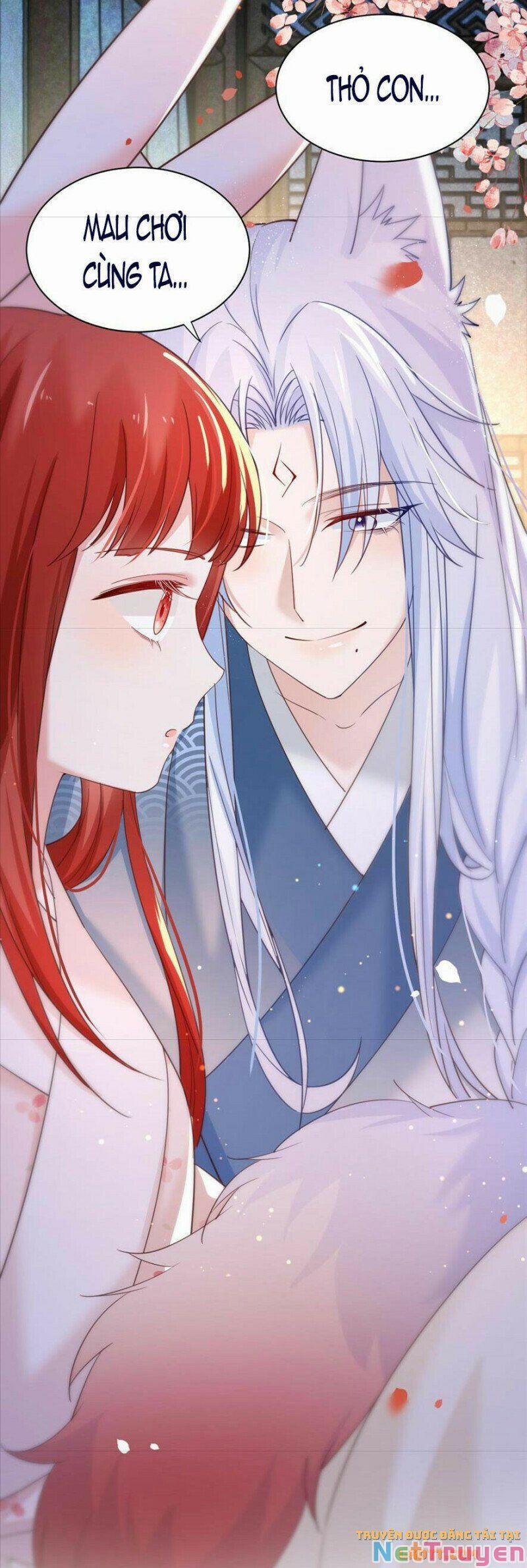 Nuôi Thỏ? Nam Chính Hắc Hóa Rồi! 66 trang 11