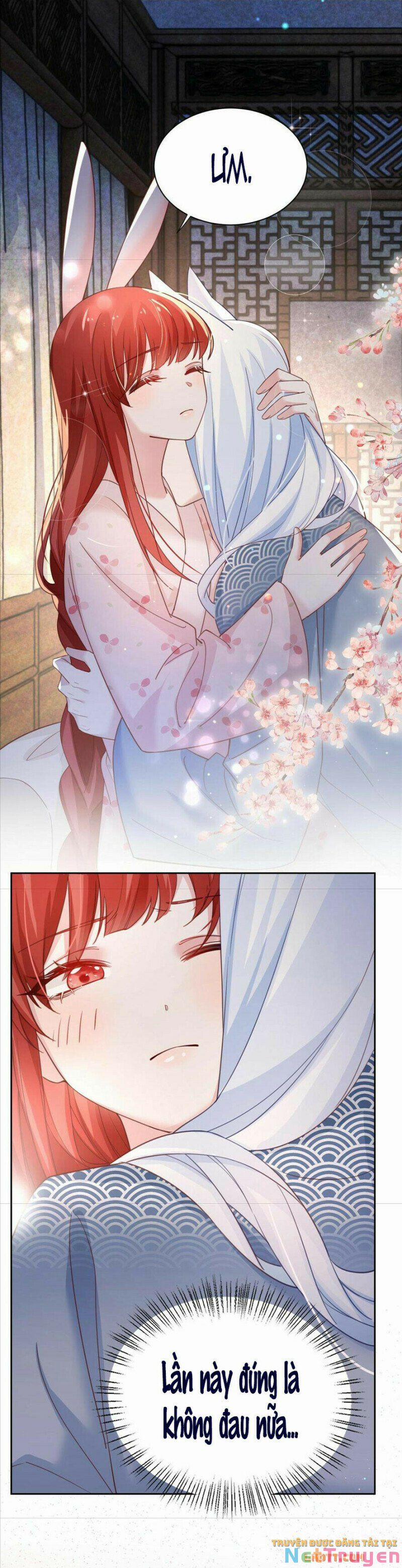 Nuôi Thỏ? Nam Chính Hắc Hóa Rồi! 66 trang 14