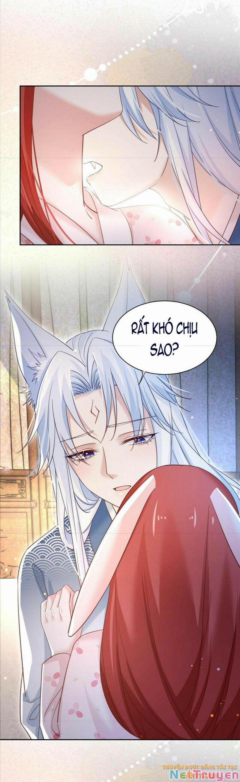 Nuôi Thỏ? Nam Chính Hắc Hóa Rồi! 66 trang 15