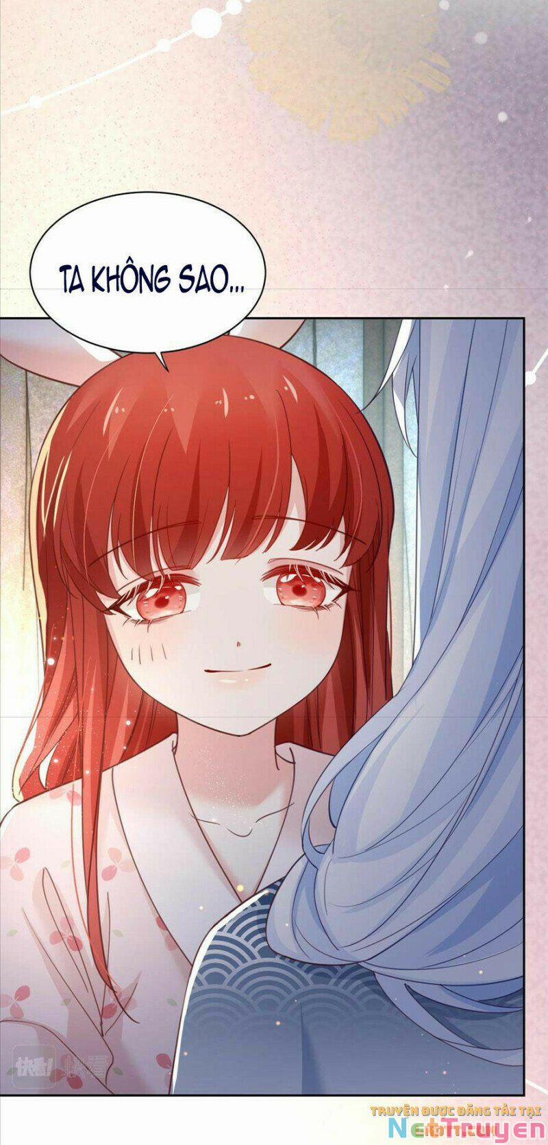 Nuôi Thỏ? Nam Chính Hắc Hóa Rồi! 66 trang 16