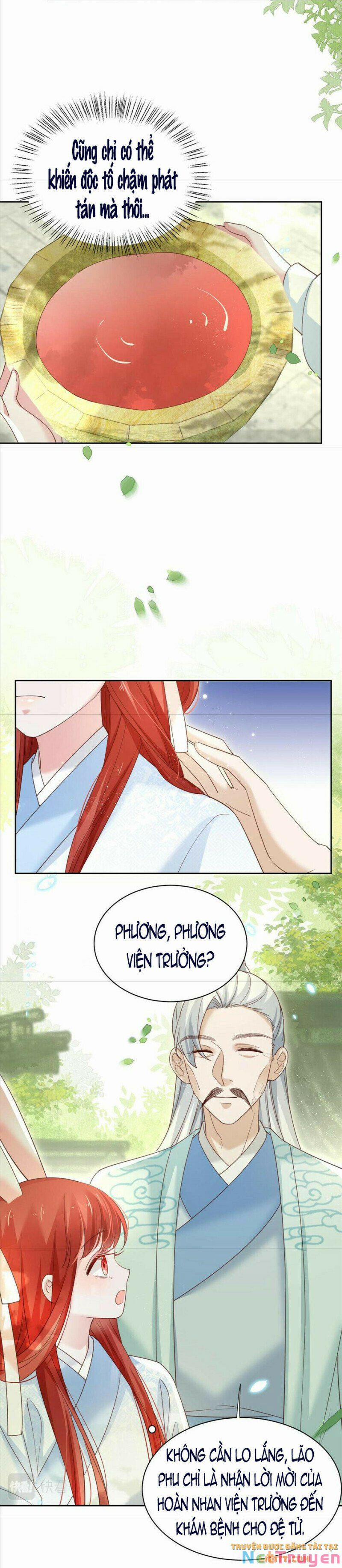 Nuôi Thỏ? Nam Chính Hắc Hóa Rồi! 66 trang 5