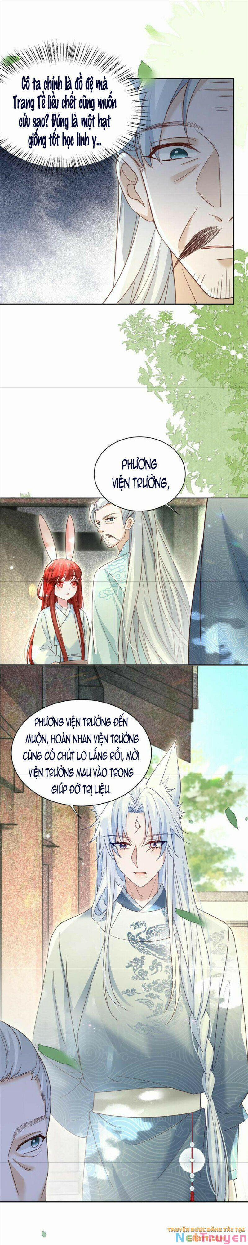 Nuôi Thỏ? Nam Chính Hắc Hóa Rồi! 66 trang 7