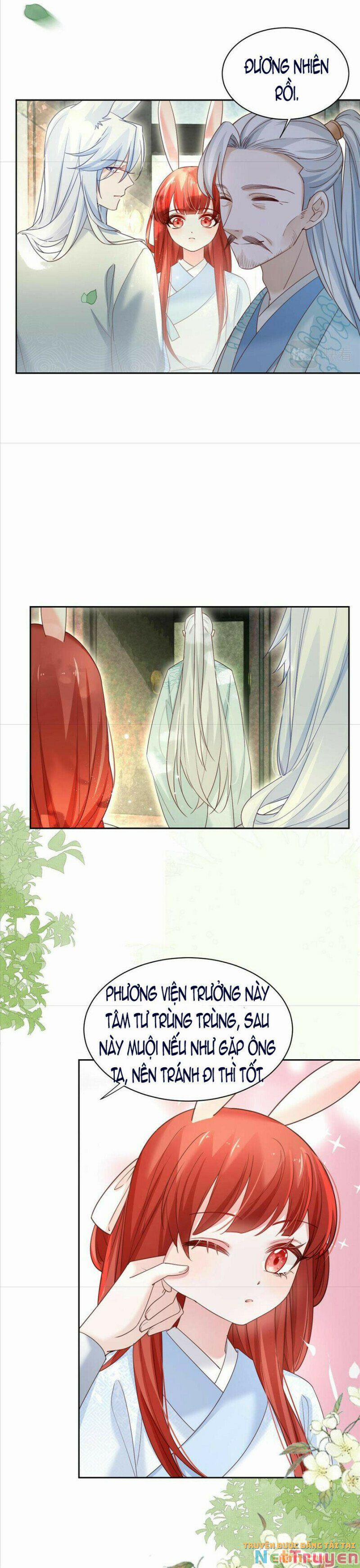 Nuôi Thỏ? Nam Chính Hắc Hóa Rồi! 66 trang 8