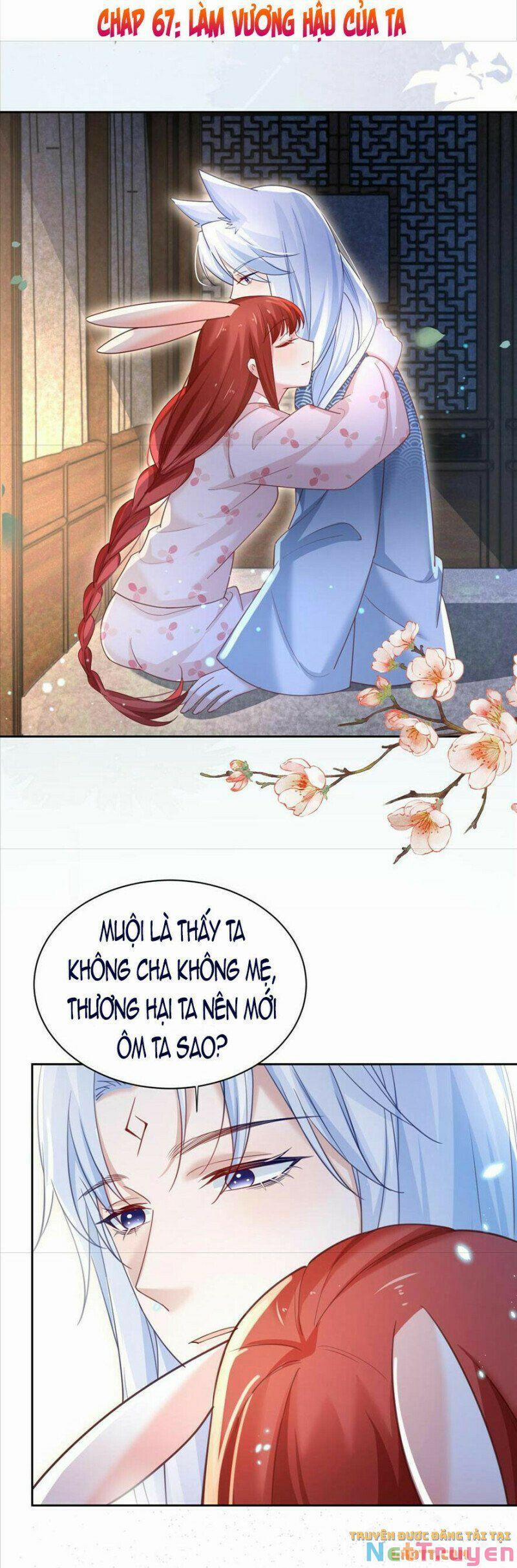 Nuôi Thỏ? Nam Chính Hắc Hóa Rồi! 67 trang 1