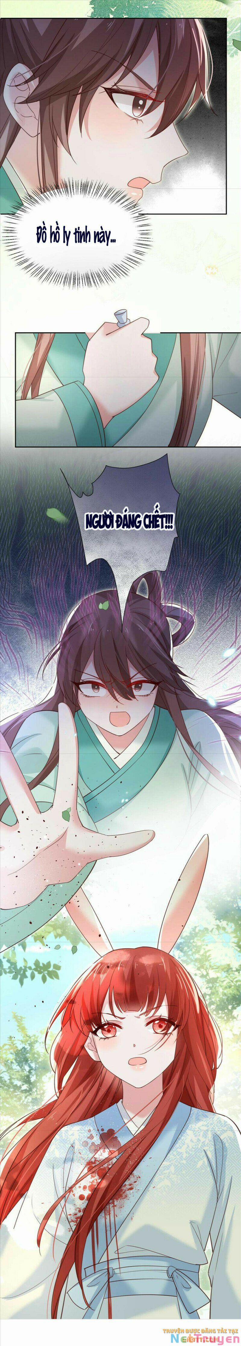 Nuôi Thỏ? Nam Chính Hắc Hóa Rồi! 67 trang 15