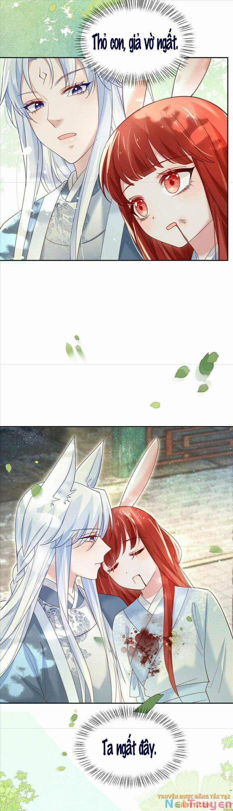 Nuôi Thỏ? Nam Chính Hắc Hóa Rồi! 67 trang 17