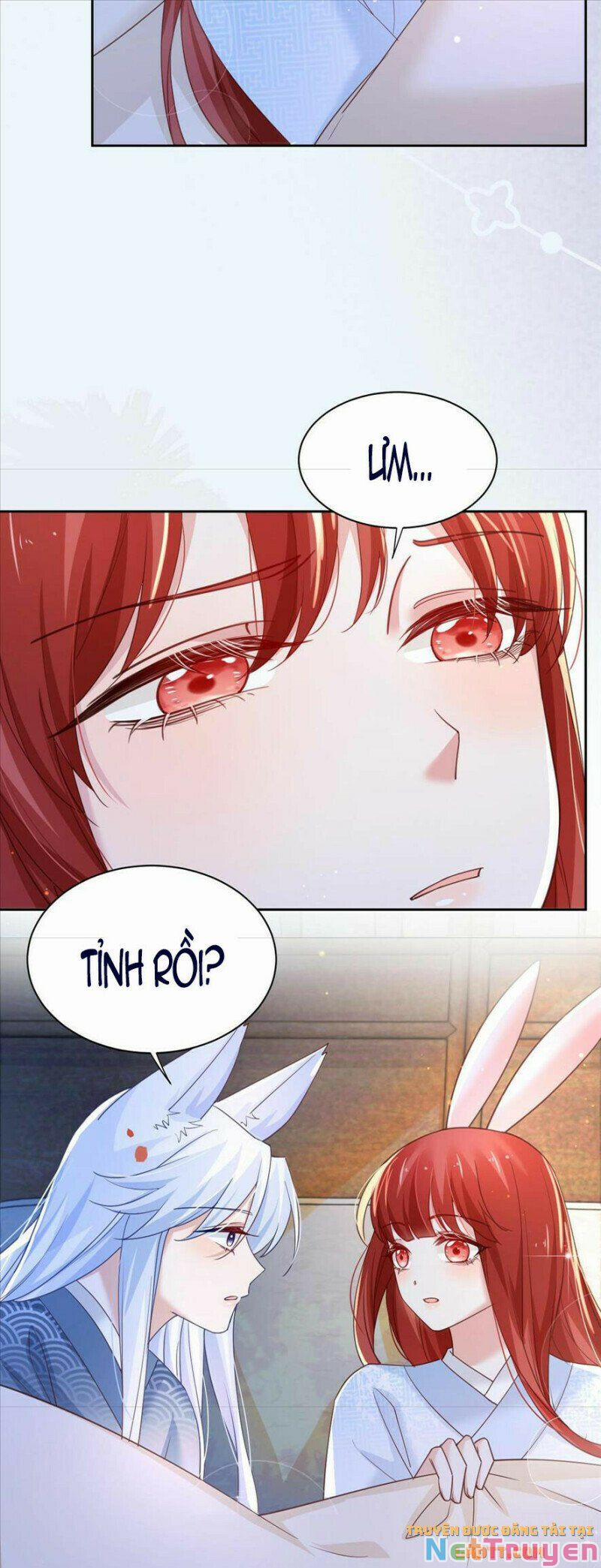Nuôi Thỏ? Nam Chính Hắc Hóa Rồi! 67 trang 20