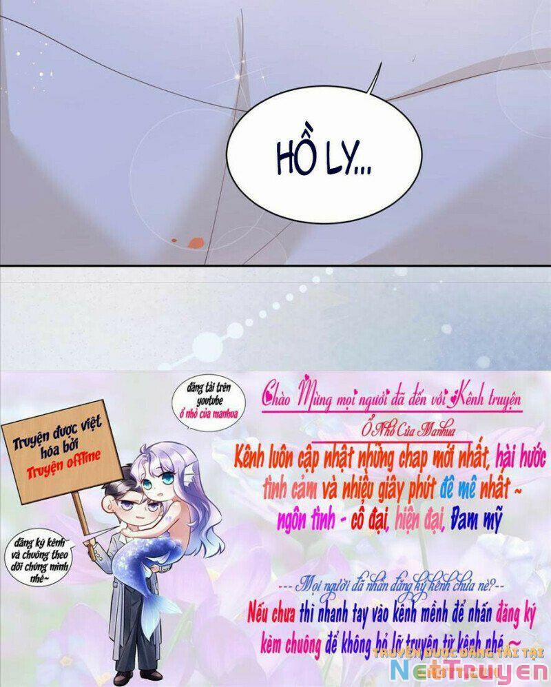 Nuôi Thỏ? Nam Chính Hắc Hóa Rồi! 67 trang 21