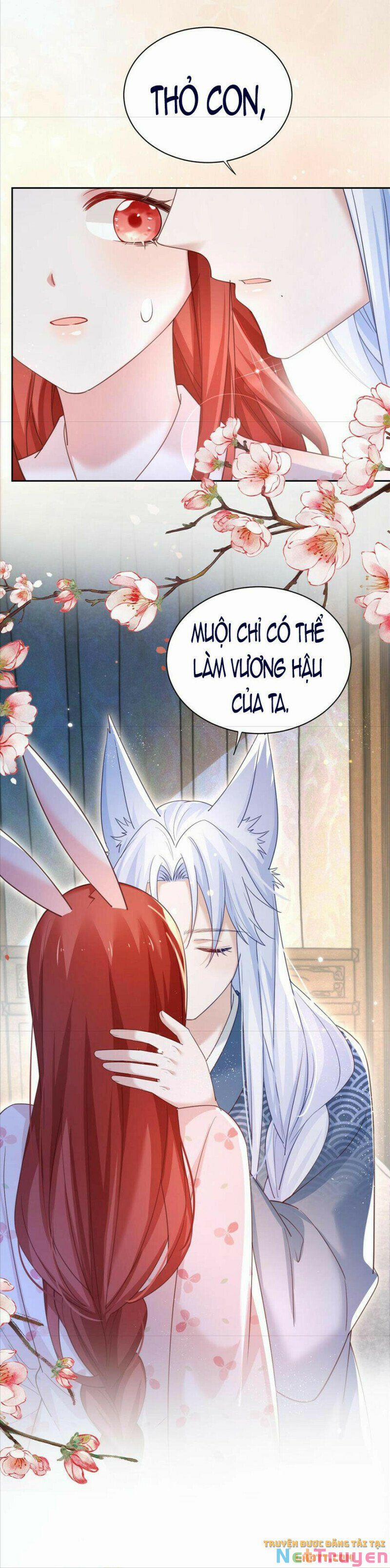 Nuôi Thỏ? Nam Chính Hắc Hóa Rồi! 67 trang 4
