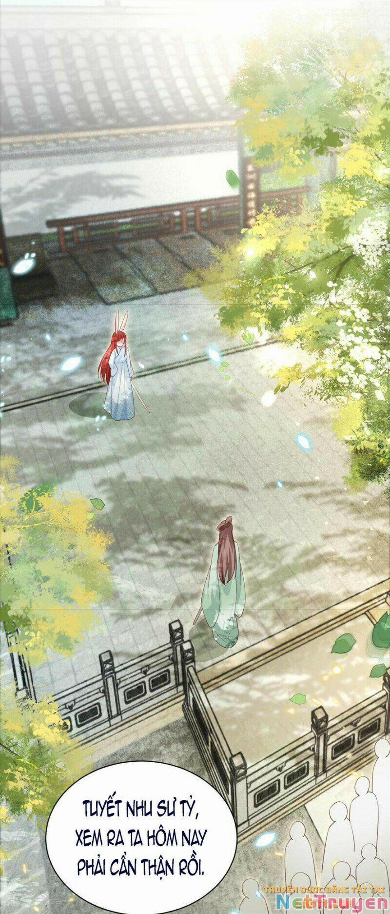 Nuôi Thỏ? Nam Chính Hắc Hóa Rồi! 67 trang 5