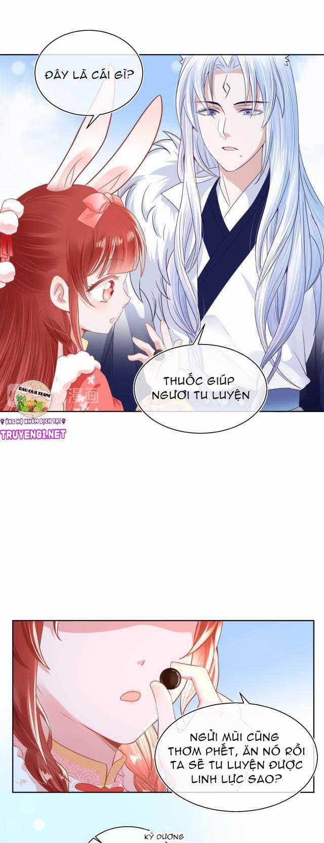 Nuôi Thỏ? Nam Chính Hắc Hóa Rồi! 8 trang 11