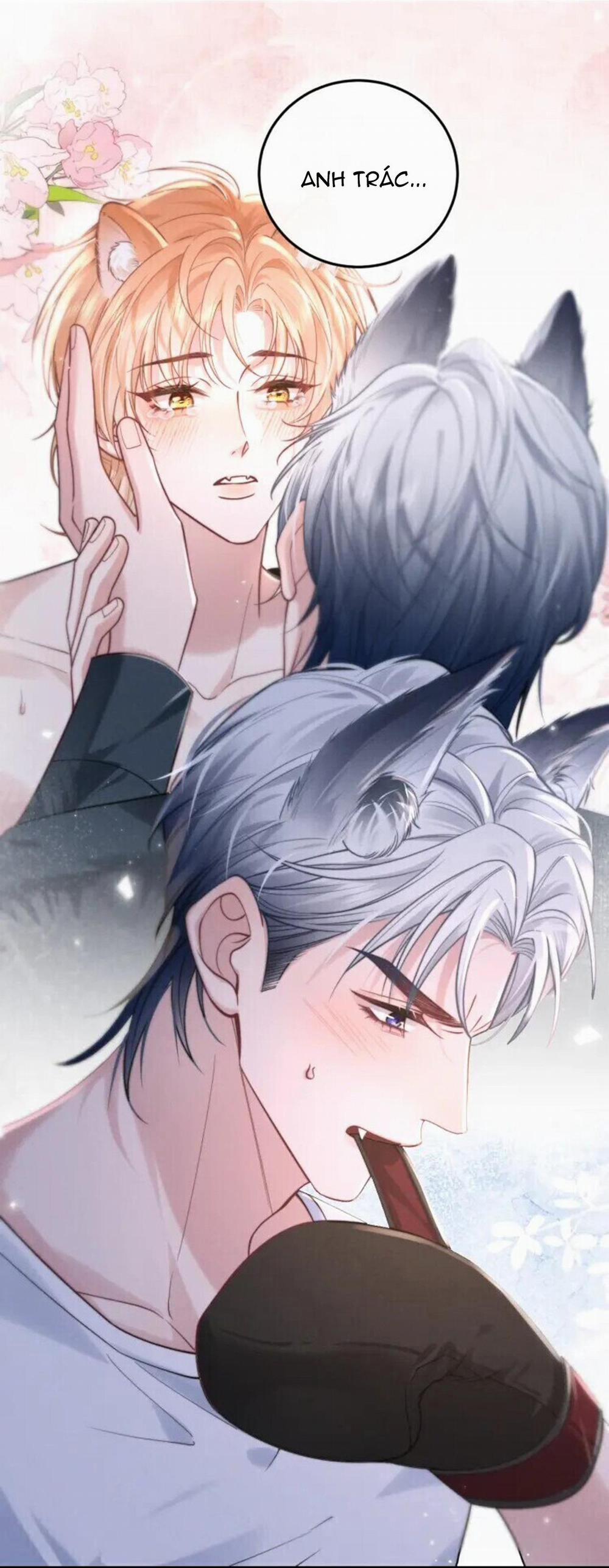 Nuông Chiều Sinh Hư 3 trang 22