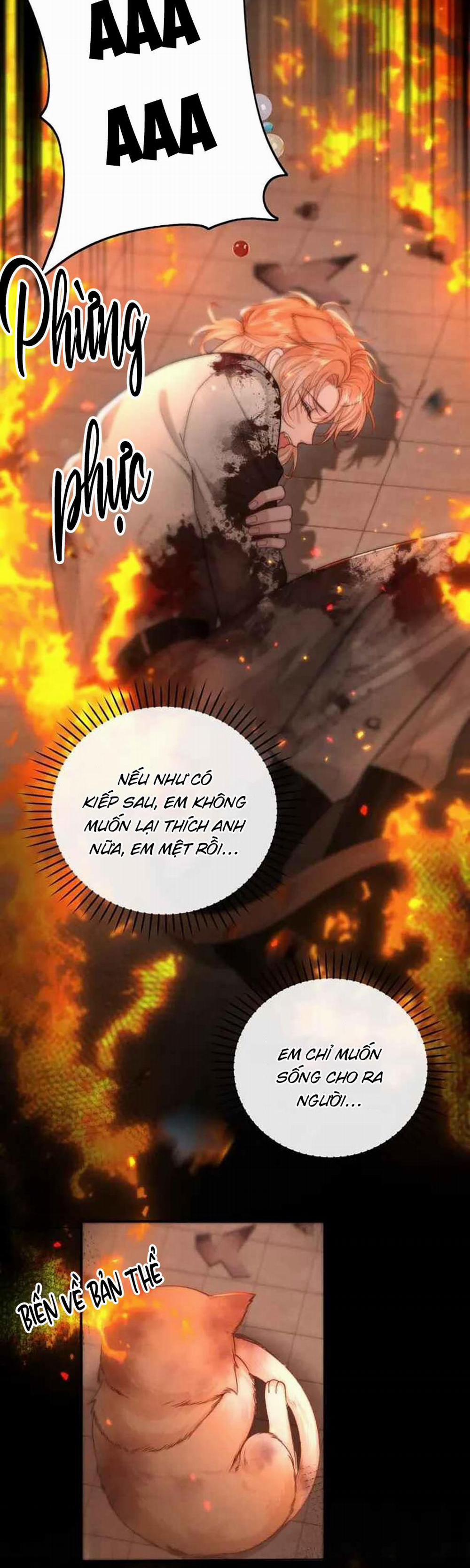 Nuông Chiều Sinh Hư 5 trang 12