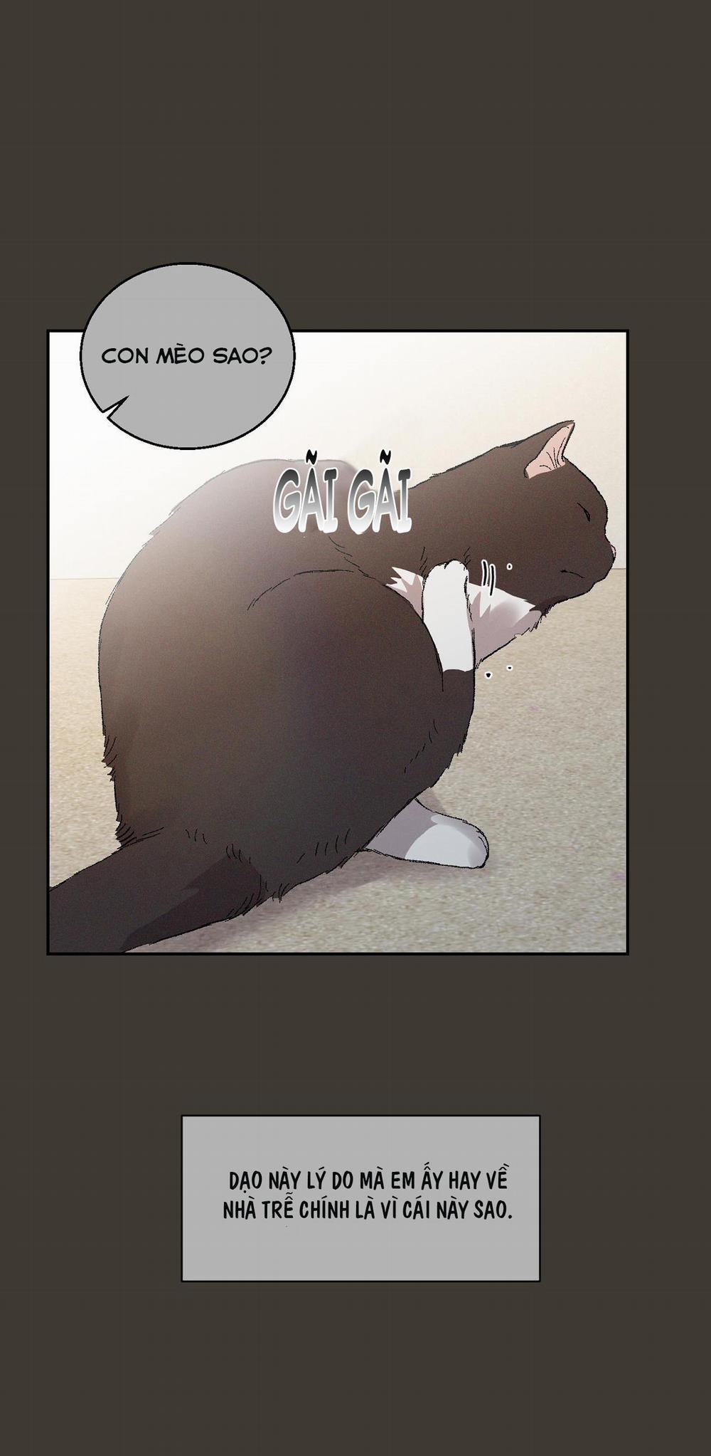 Nuốt Chửng Bóng Đêm 14 trang 7