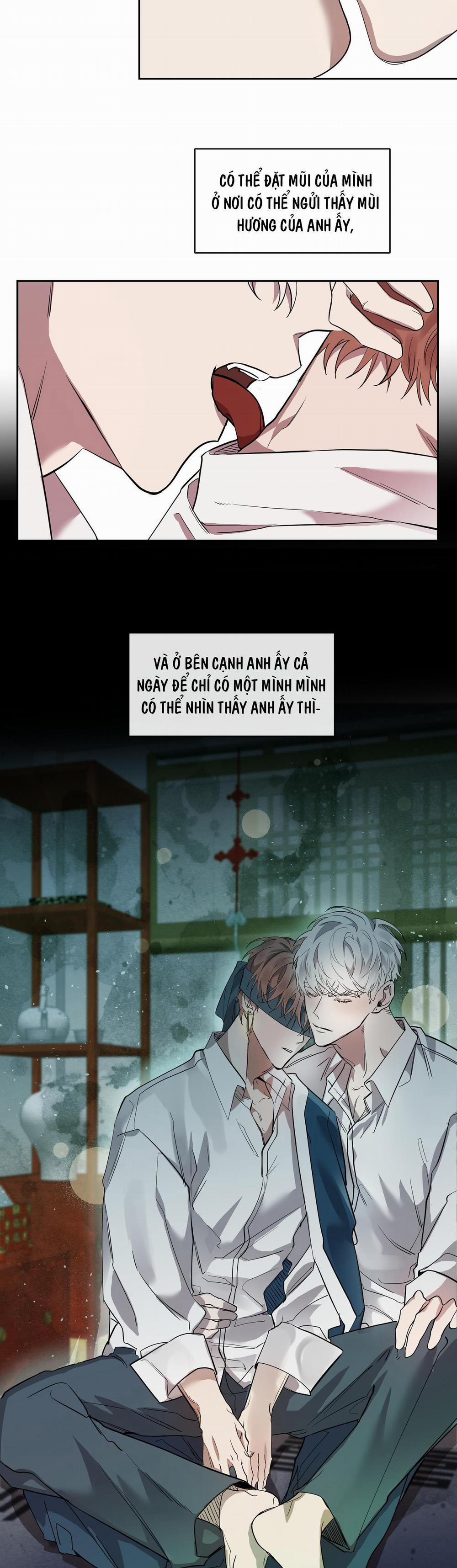 Nuốt Chửng Bóng Đêm 16 trang 7