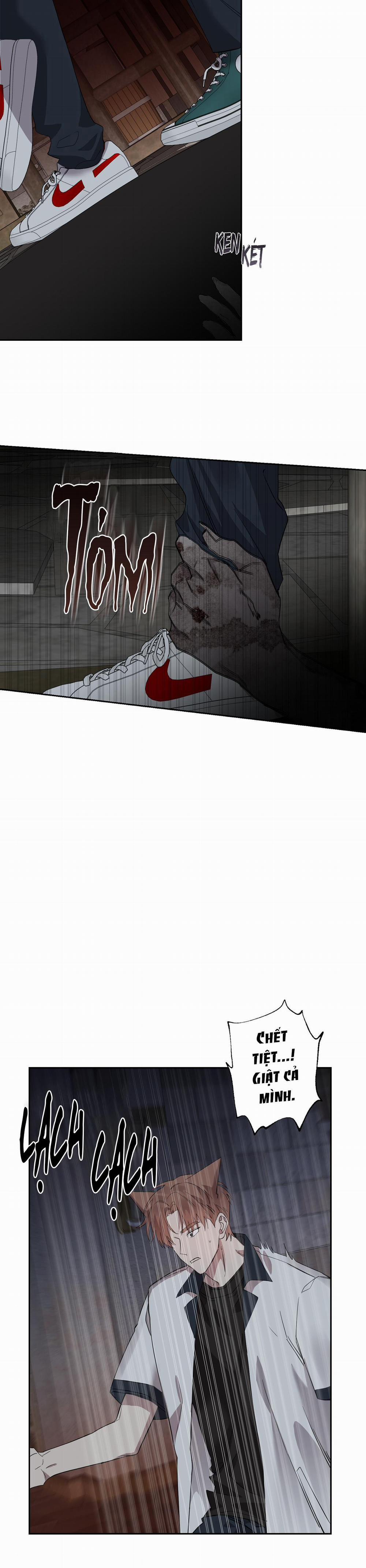 Nuốt Chửng Bóng Đêm 20 trang 11