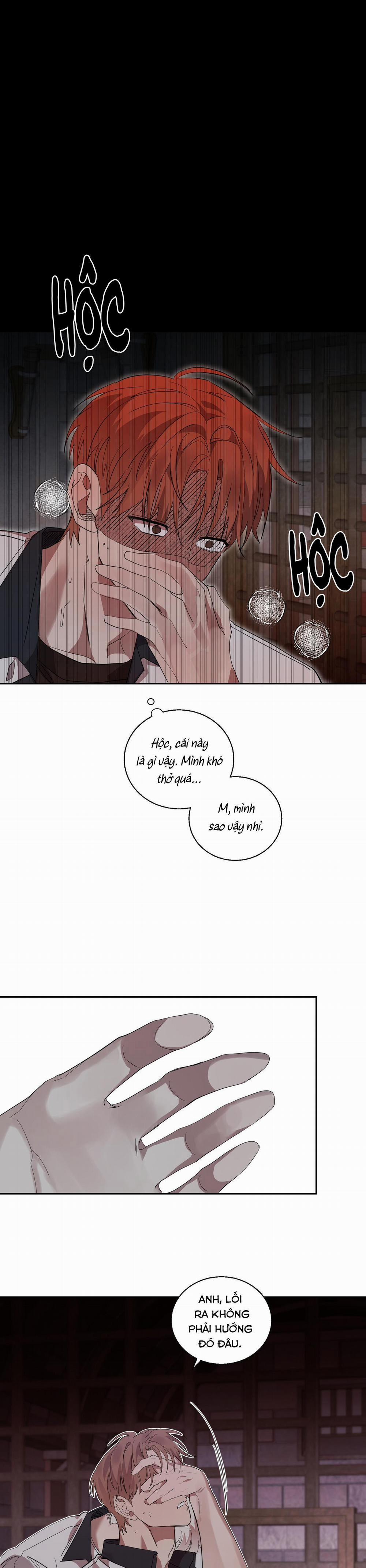 Nuốt Chửng Bóng Đêm 20 trang 17