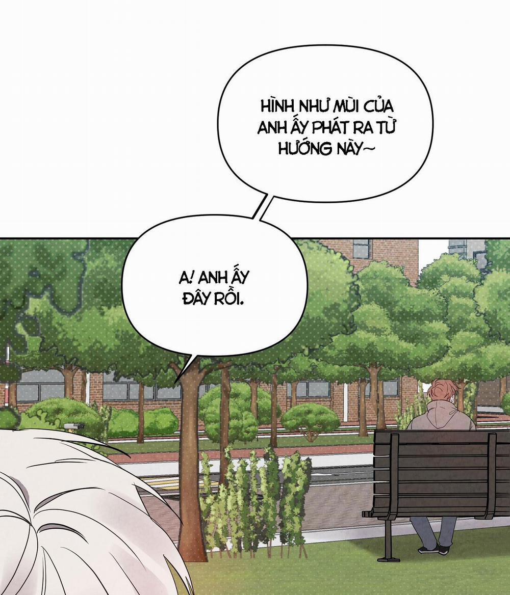 Nuốt Chửng Bóng Đêm 29 trang 46