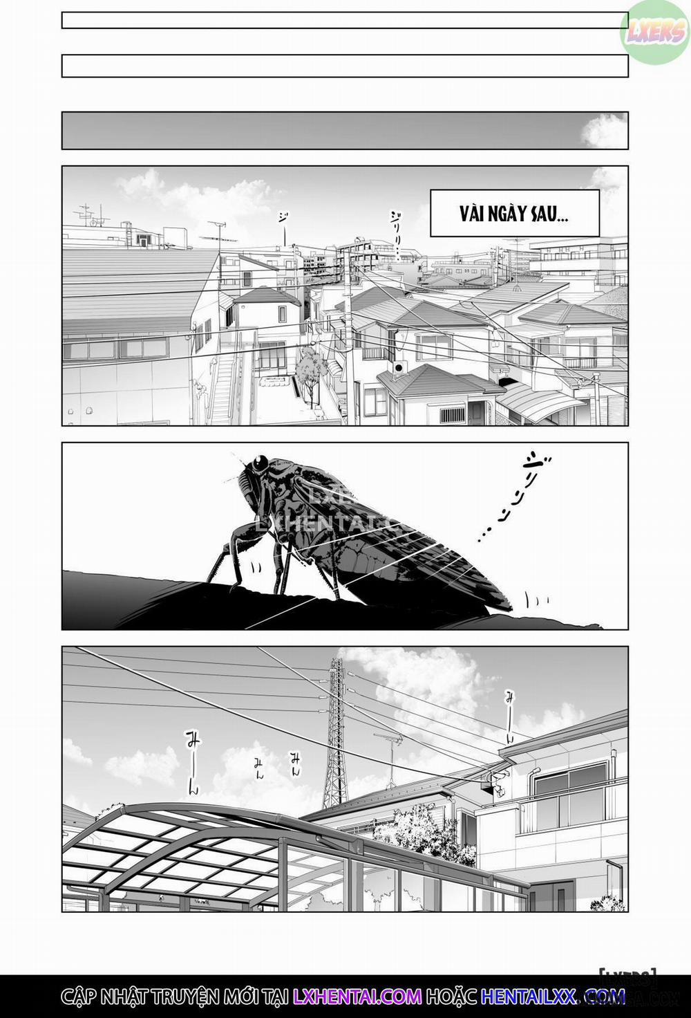 Nureane ~Batsuichi no Ane to Sex o Shita Natsu no Yoru Oneshot trang 12