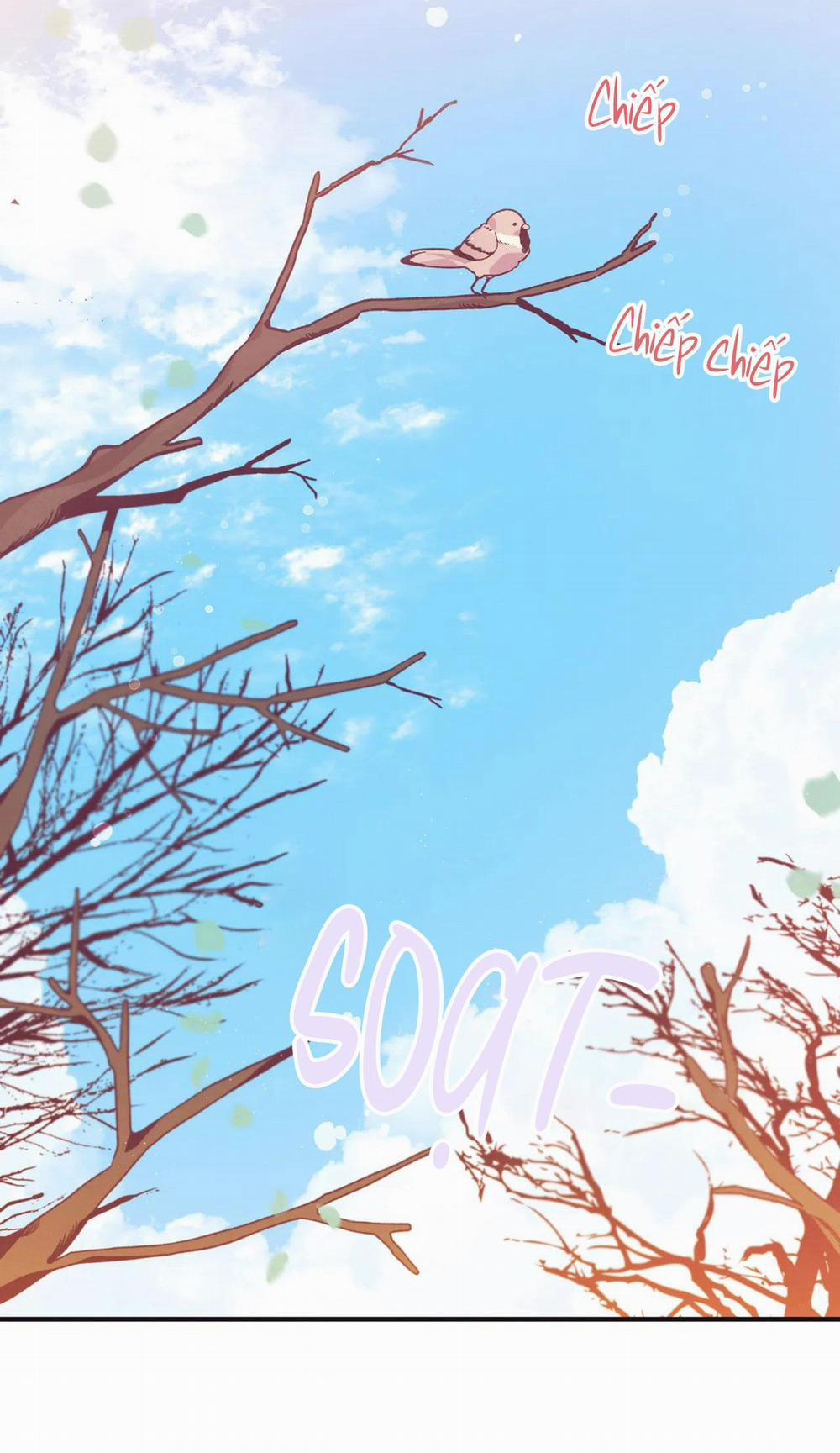 Ở ĐÂY TÔI CÓ NHÂN THÚ HỎN LỌN 1 THỎ VÀ RÙA trang 15