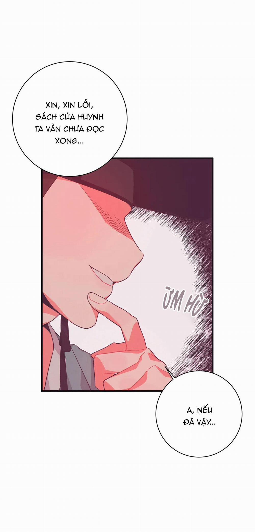 Ở ĐÂY TÔI CÓ NHÂN THÚ HỎN LỌN 1 THỎ VÀ RÙA trang 37