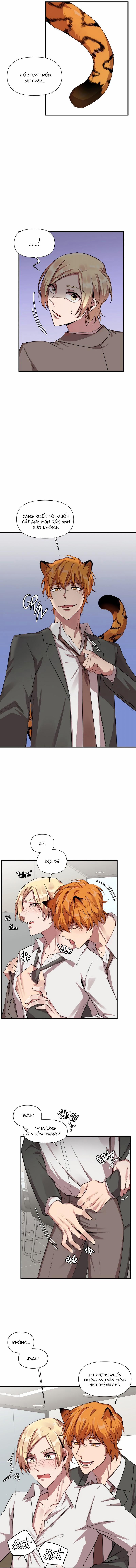 Ở ĐÂY TÔI CÓ NHÂN THÚ HỎN LỌN 16 trang 10