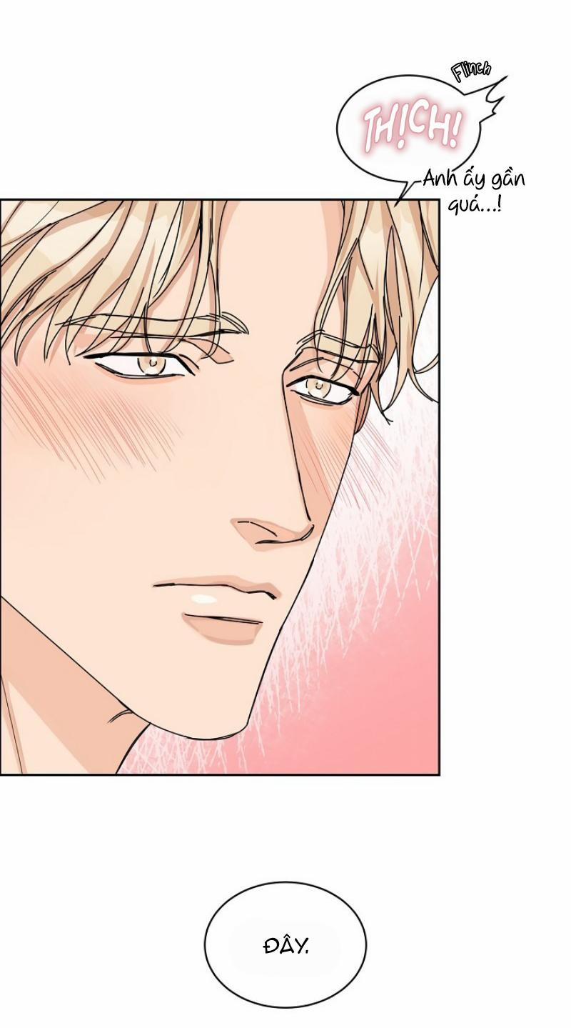 Ở ĐÂY TÔI CÓ NHÂN THÚ HỎN LỌN 5 trang 11