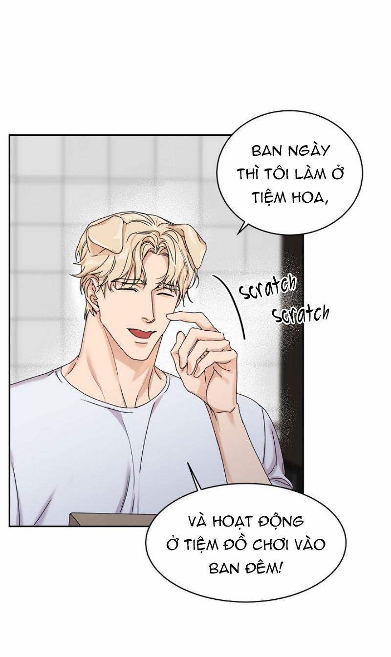 Ở ĐÂY TÔI CÓ NHÂN THÚ HỎN LỌN 6 trang 11