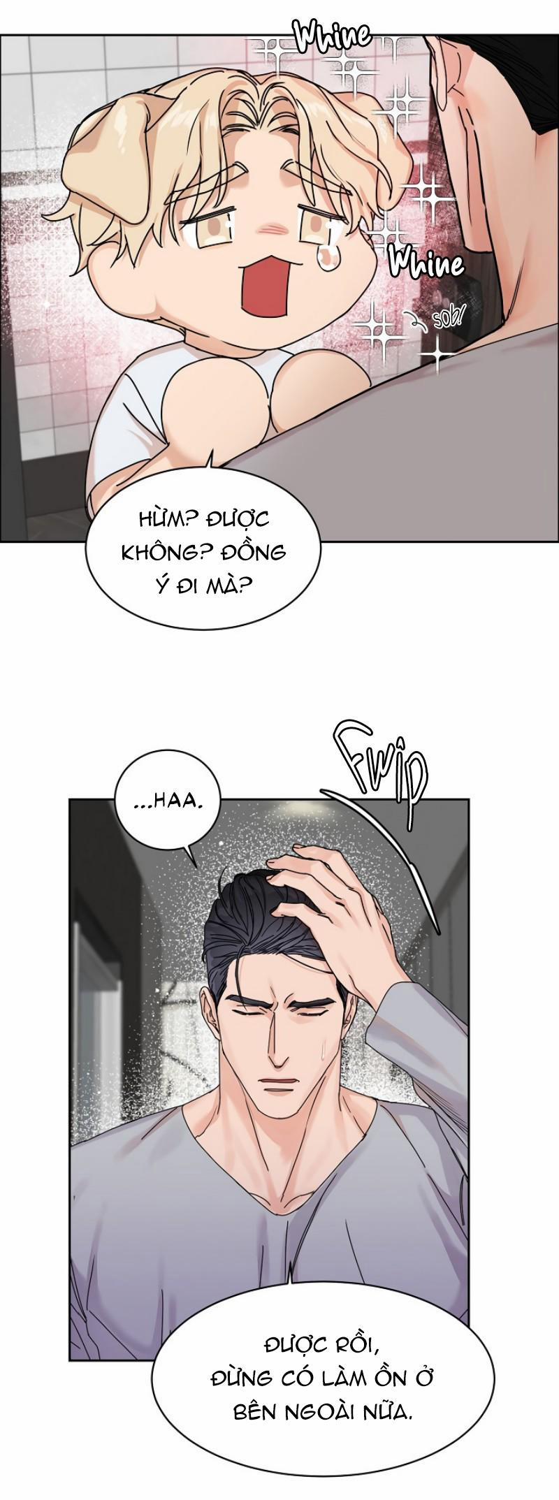 Ở ĐÂY TÔI CÓ NHÂN THÚ HỎN LỌN 6 trang 17