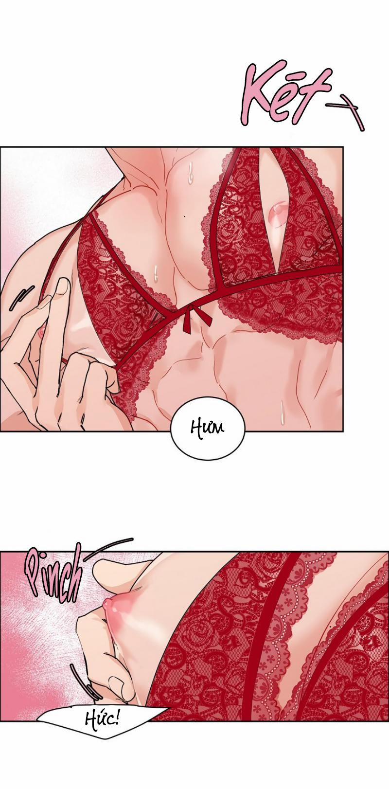 Ở ĐÂY TÔI CÓ NHÂN THÚ HỎN LỌN 6 trang 38