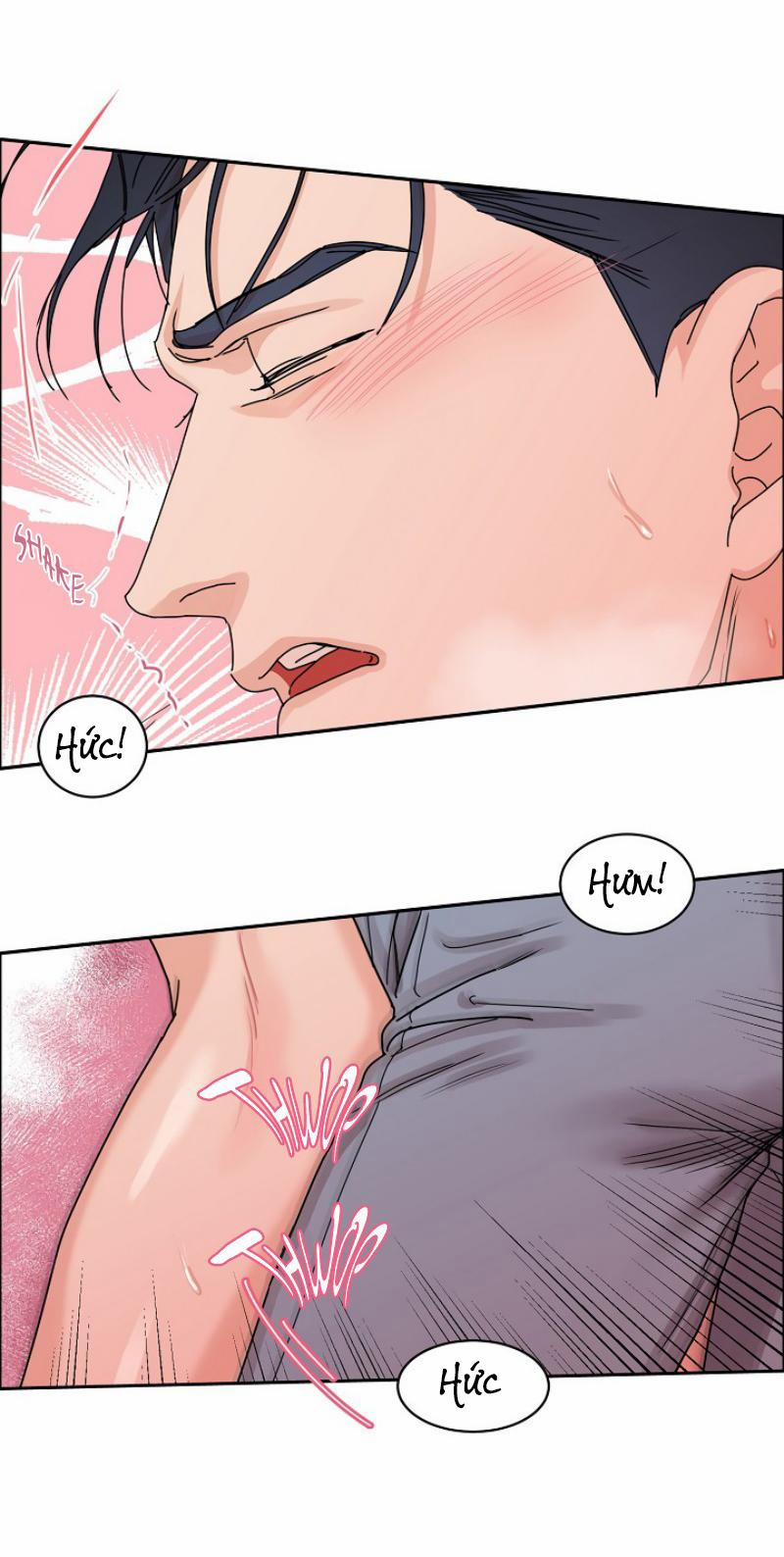 Ở ĐÂY TÔI CÓ NHÂN THÚ HỎN LỌN 6 trang 41