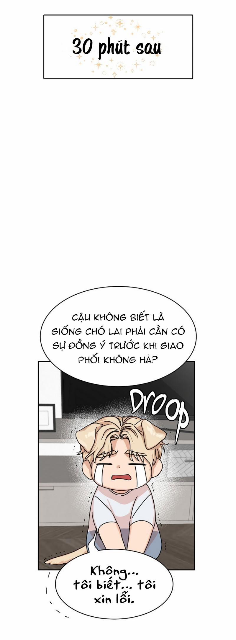 Ở ĐÂY TÔI CÓ NHÂN THÚ HỎN LỌN 6 trang 50