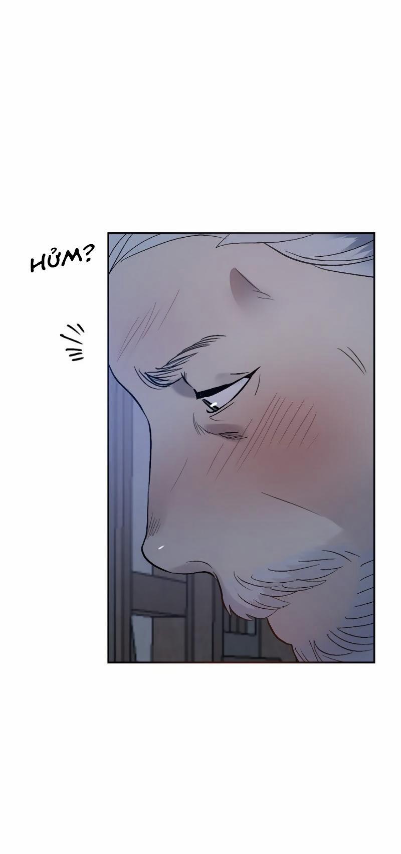 Ở ĐÂY TÔI CÓ NHÂN THÚ HỎN LỌN 8 trang 36