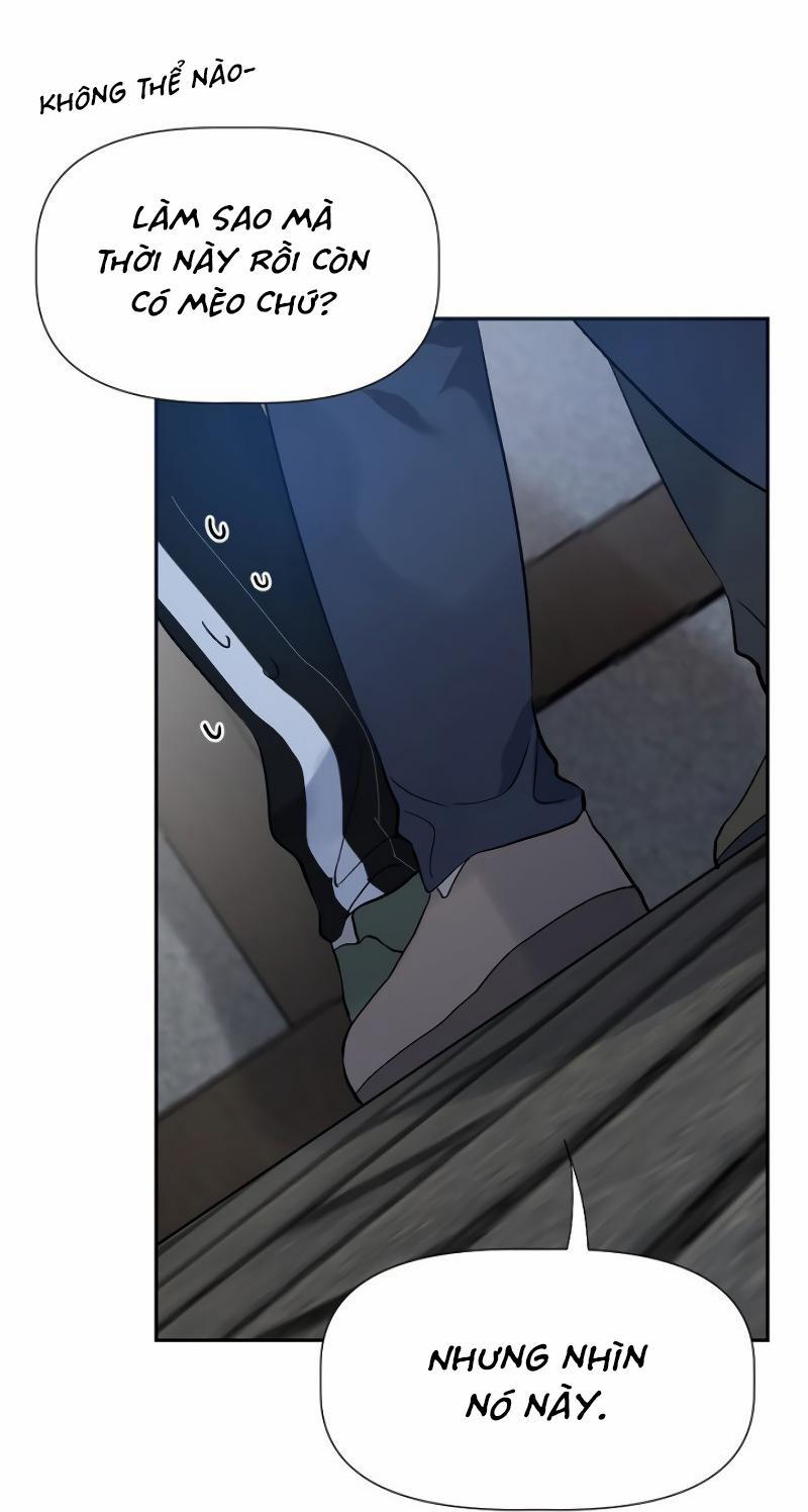Ở ĐÂY TÔI CÓ NHÂN THÚ HỎN LỌN 8 trang 39