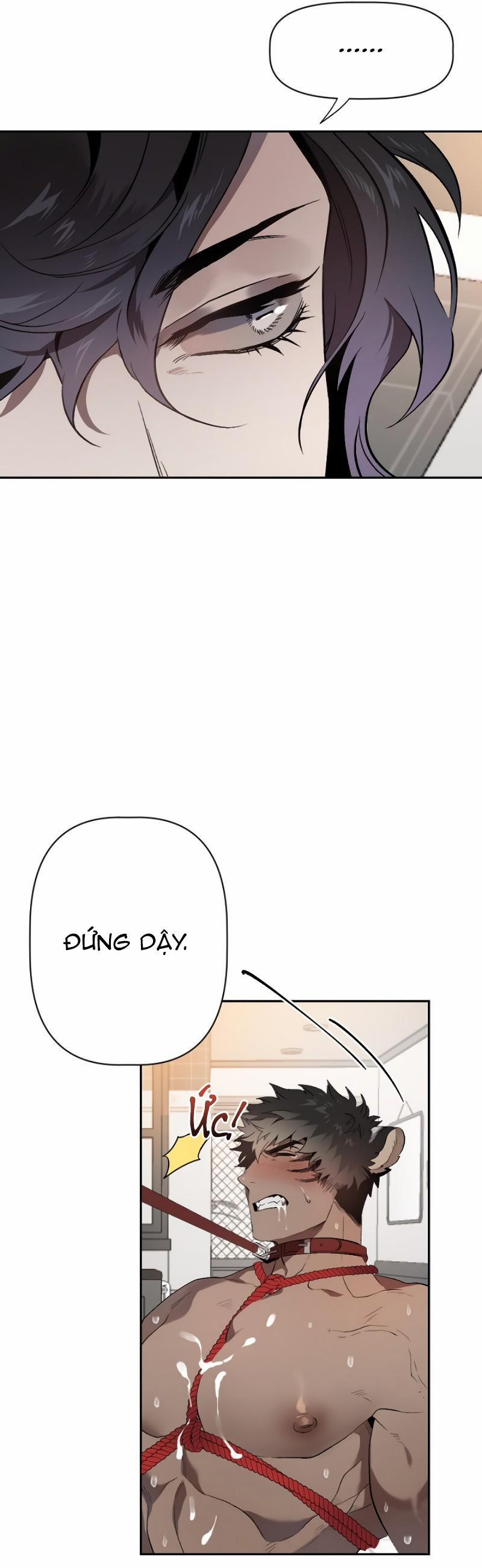 Ở ĐÂY TÔI CÓ NHÂN THÚ HỎN LỌN 9 trang 11