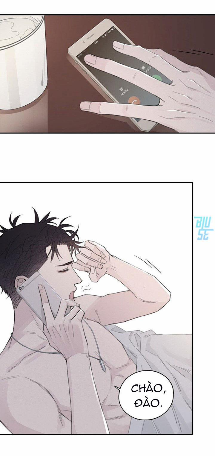 Ở Trong Bóng Tối 11 trang 17