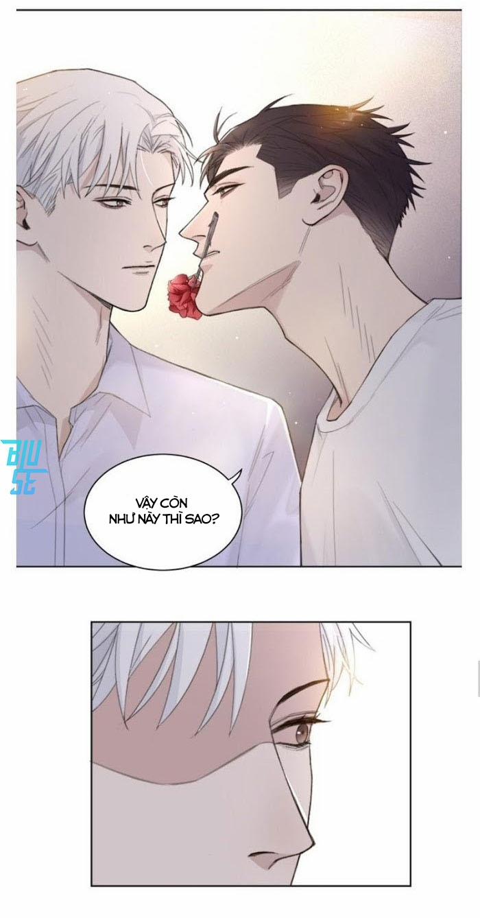 Ở Trong Bóng Tối 22 trang 10