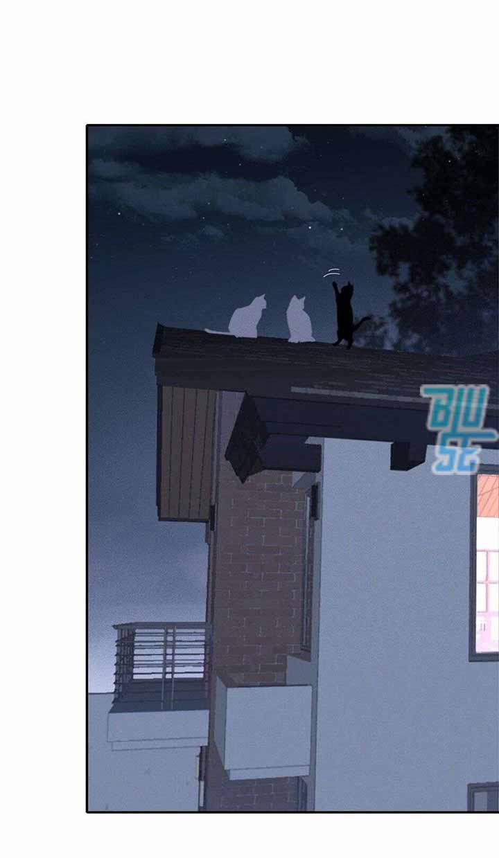 Ở Trong Bóng Tối 7 trang 1