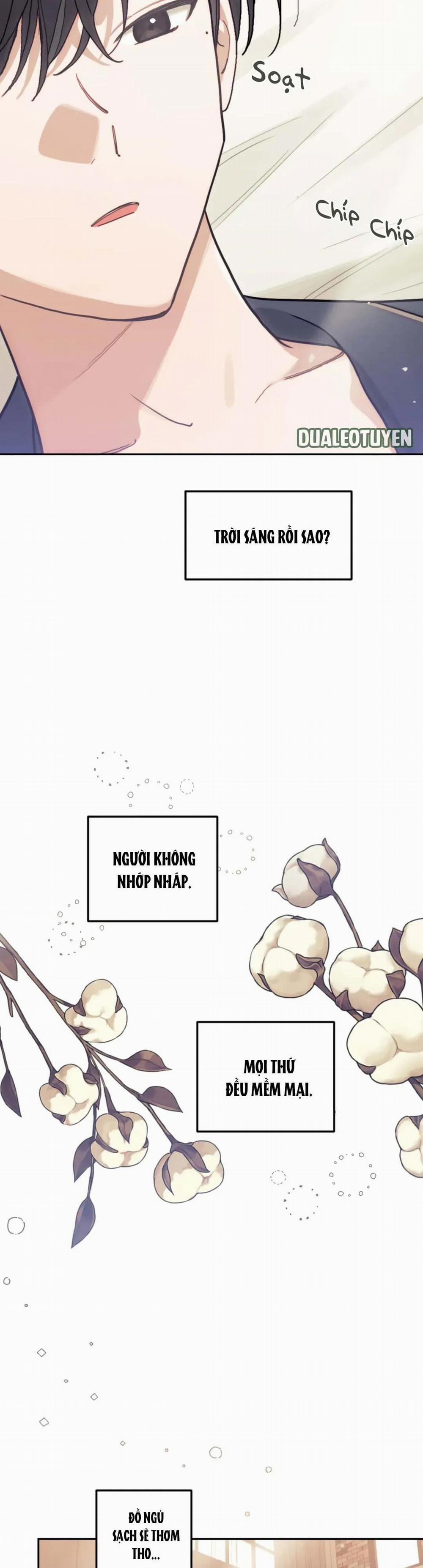 Official Link 10 trang 12