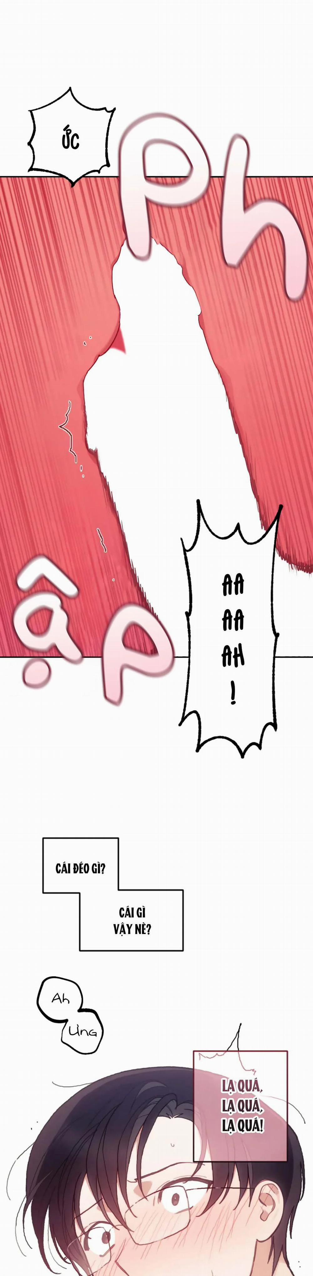 Official Link 10 trang 4